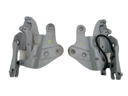 Bonnet Hinges 2