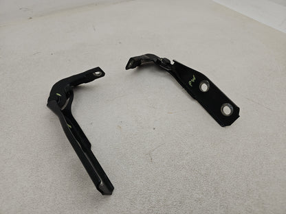 Bonnet Hinges 2