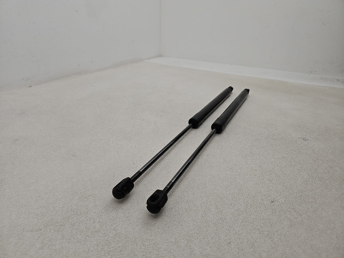 Tailgate Support Strut 2