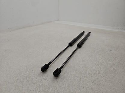 Tailgate Support Strut 2