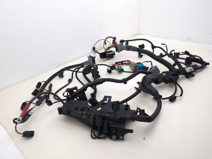 Engine Wiring Harness  2