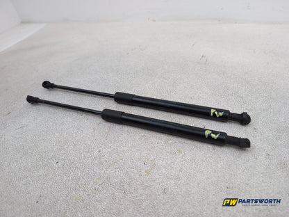Bonnet Hinges 2