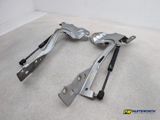 Bonnet Hinges 2