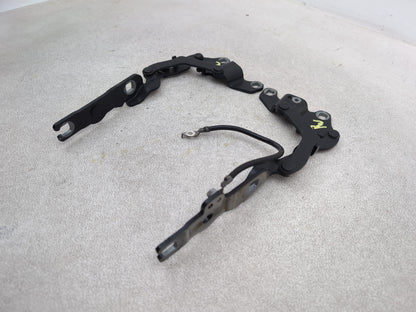 Bonnet Hinges 2