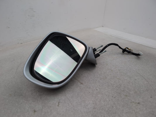Door Mirror LH 1