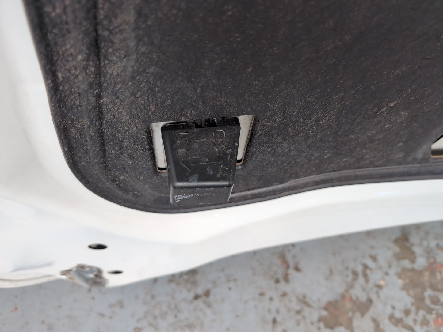 Bonnet 12
