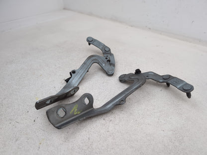 Bonnet Hinges 2