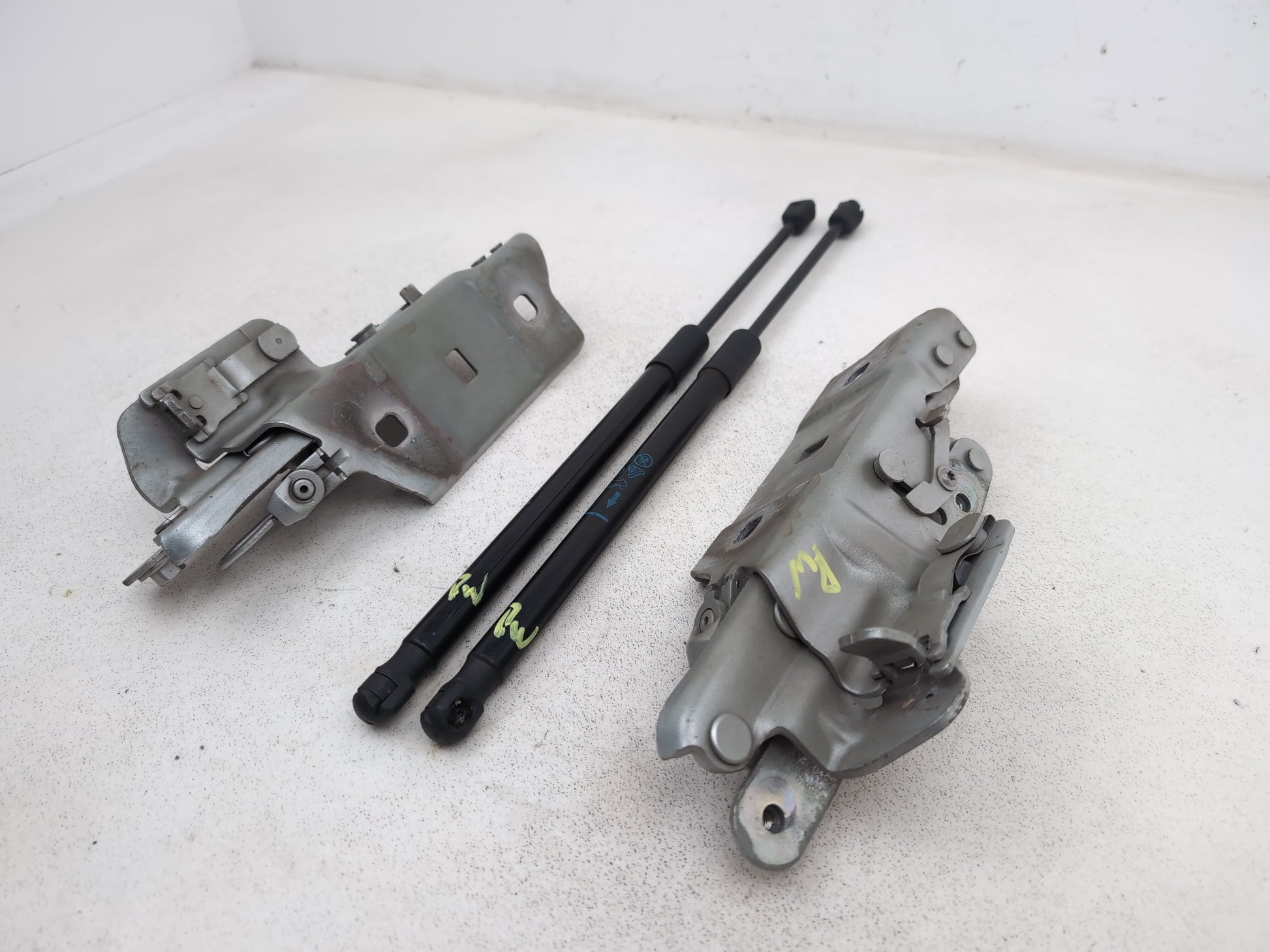 Bonnet Hinges 2