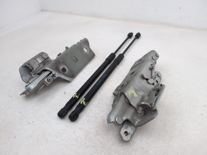 Bonnet Hinges 2