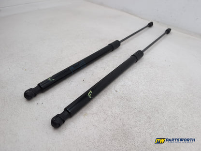 Tailgate Support Strut 2