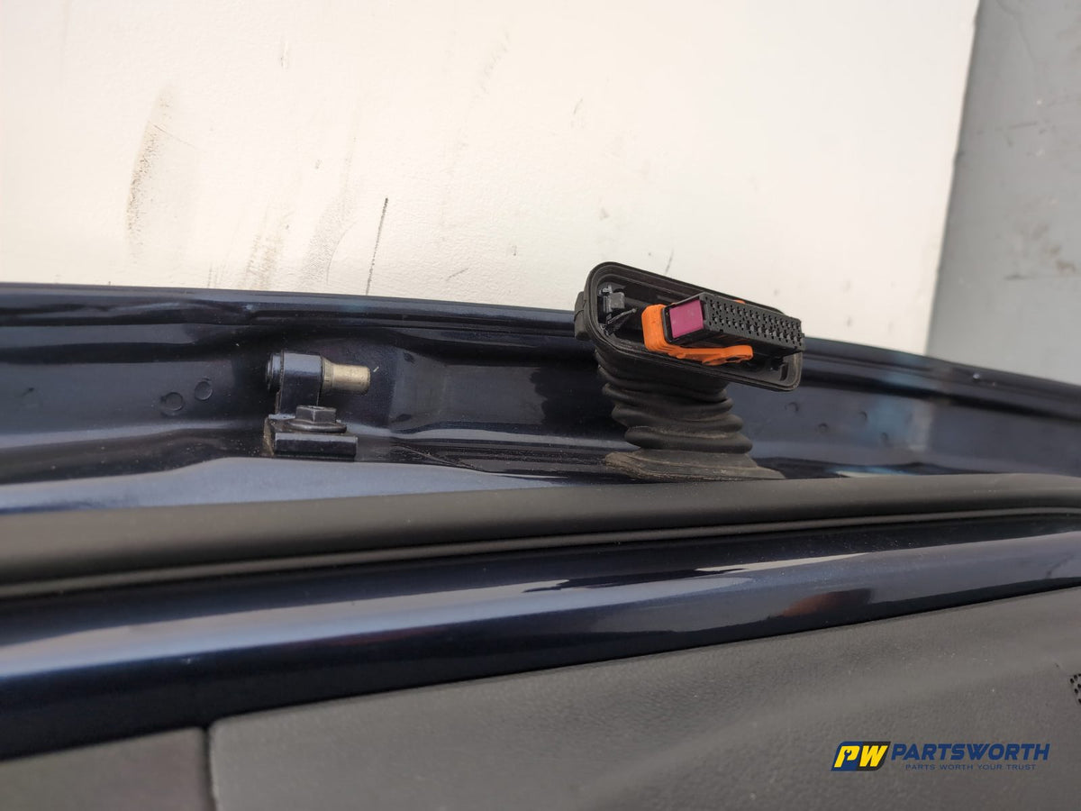 Door Rear LH 14