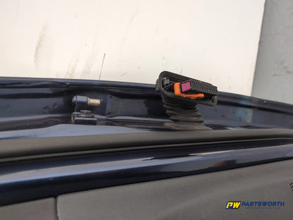 Door Rear LH 14