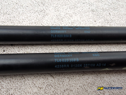 Bonnet Hinges 8