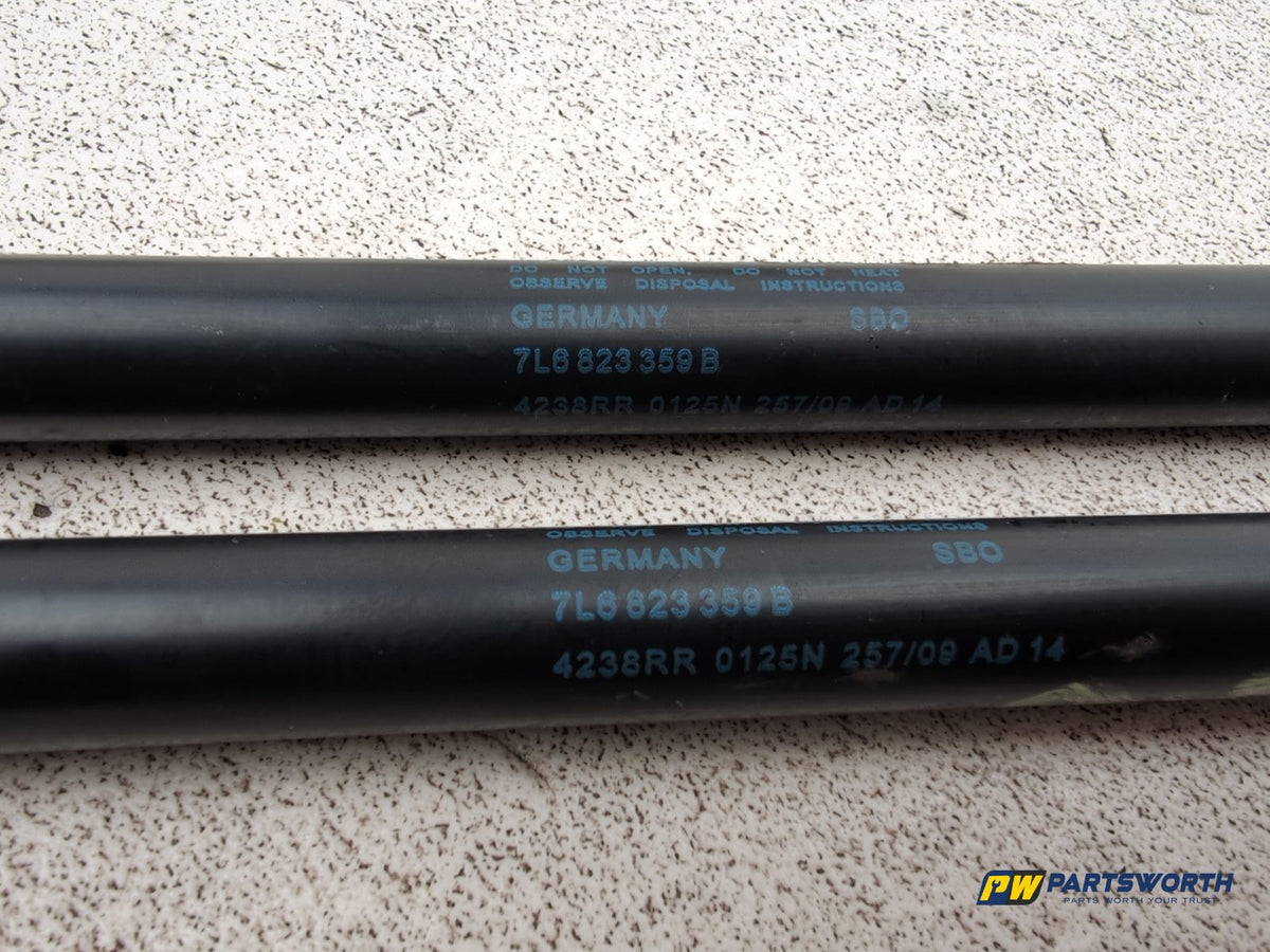 Bonnet Hinges 8