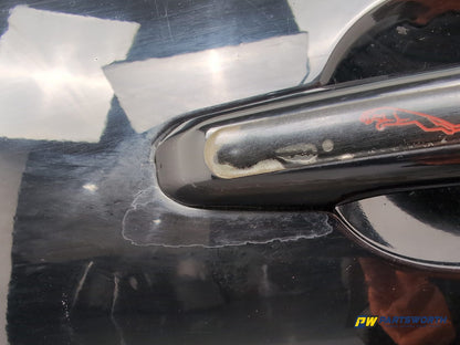 Door Front LH 7