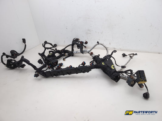 Engine Wiring Harness  2