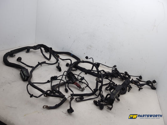 Engine Wiring Harness  2