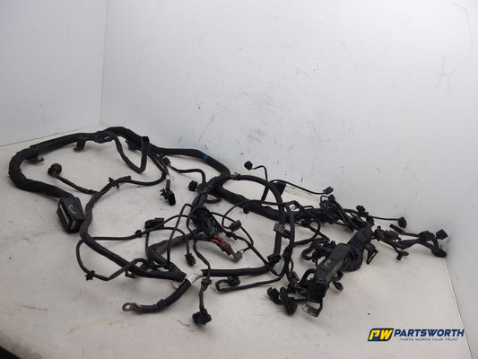 Engine Wiring Harness  2