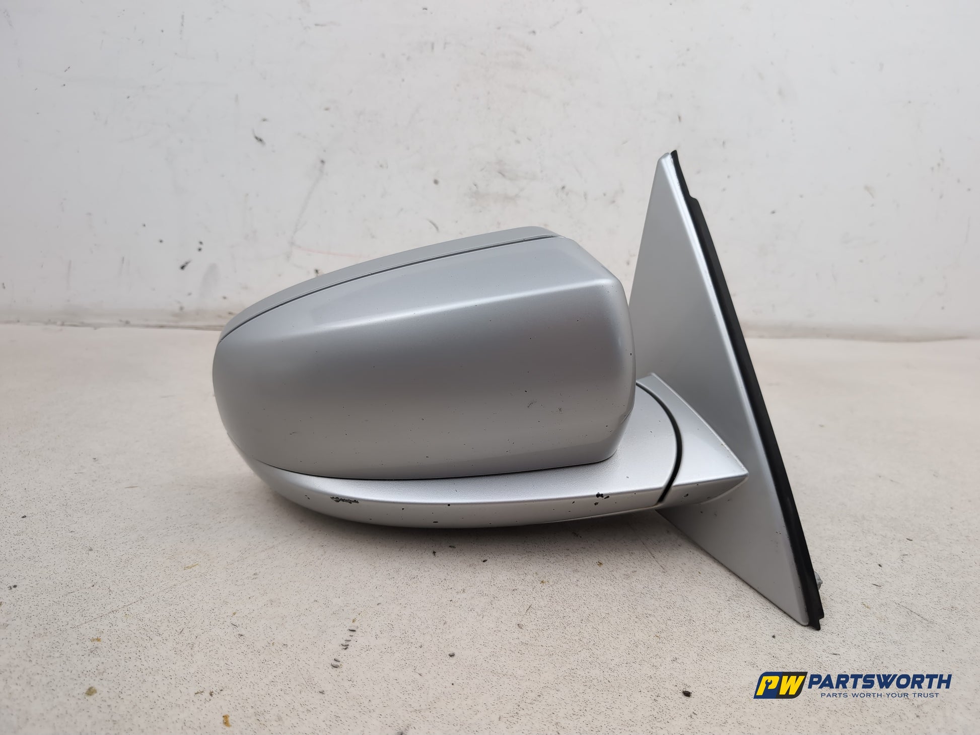 Door Mirror RH 1