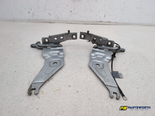 Bonnet Hinges 1