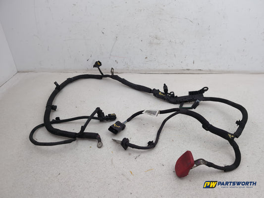 Engine Wiring Harness  1