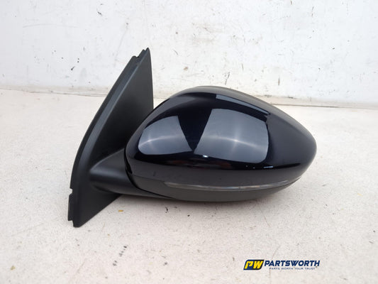 Door Mirror LH 1