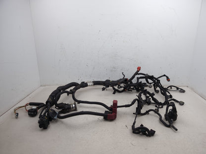 Engine Wiring Harness  1