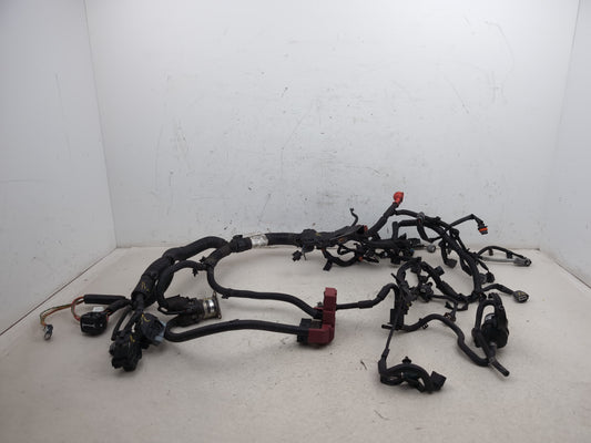 Engine Wiring Harness  1