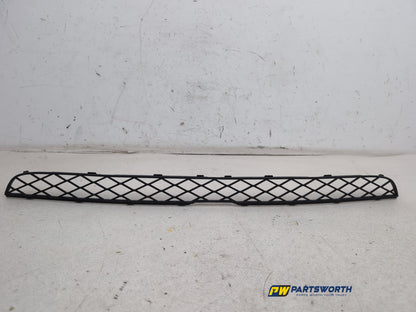 Bumper Front Lower Grille 1