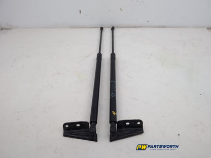 Tailgate Support Strut 1