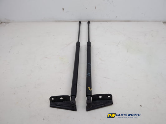Tailgate Support Strut 1