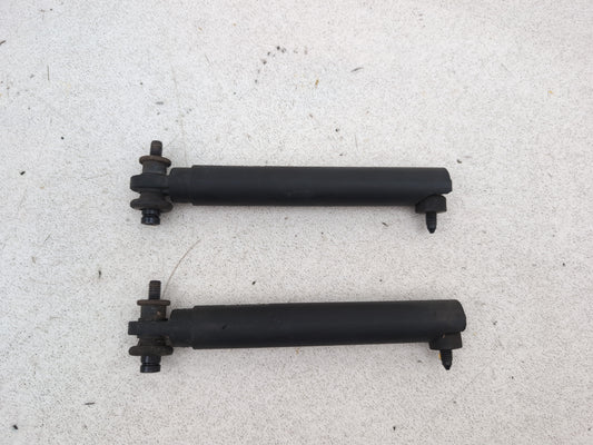 Tailgate Support Strut 1