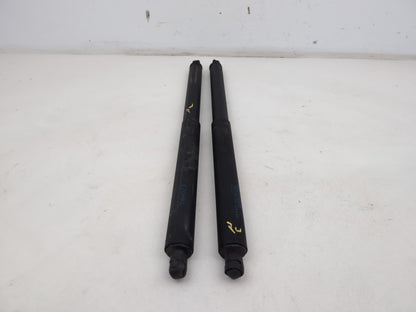 Tailgate Support Strut 1