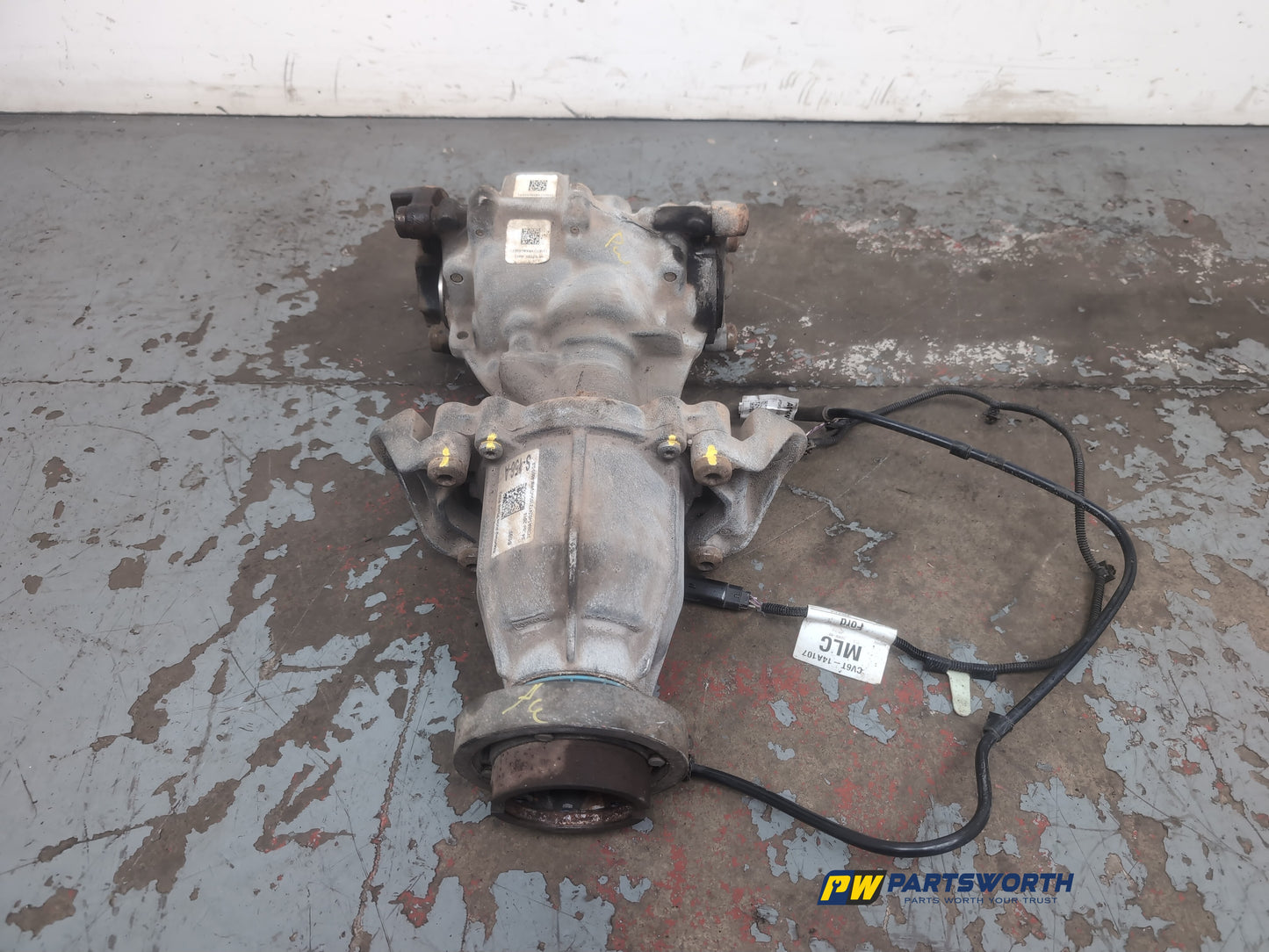 Differential Rear 1