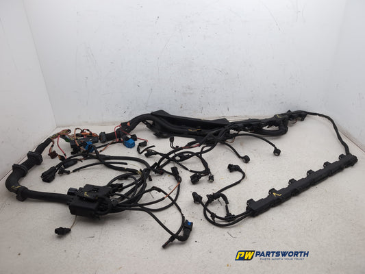 Engine Wiring Harness  1