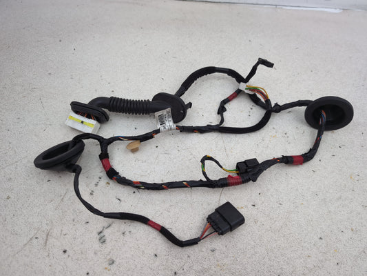 Wiring loom 1