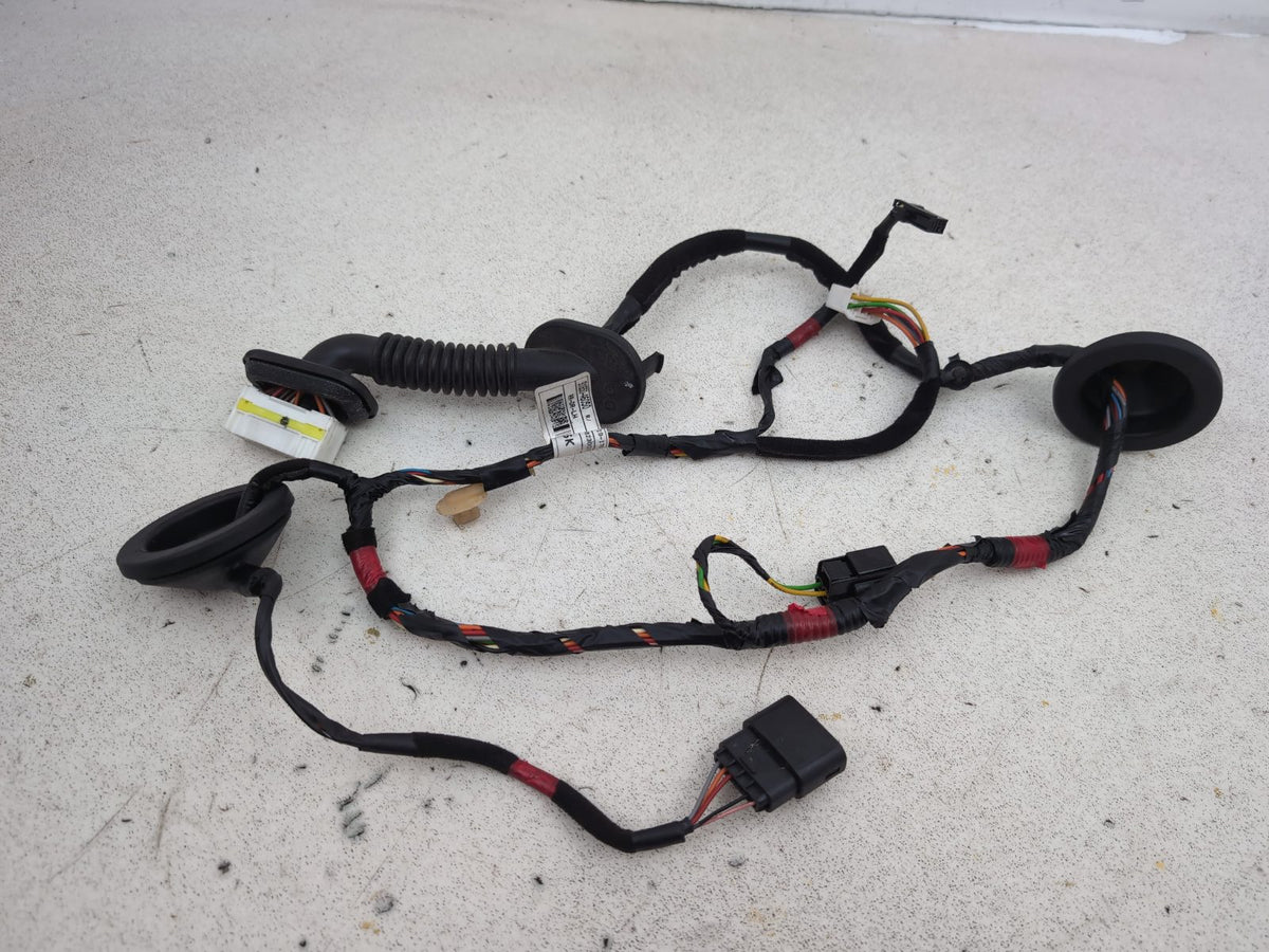 Wiring loom 1