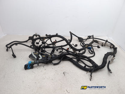 Engine Wiring Harness  1