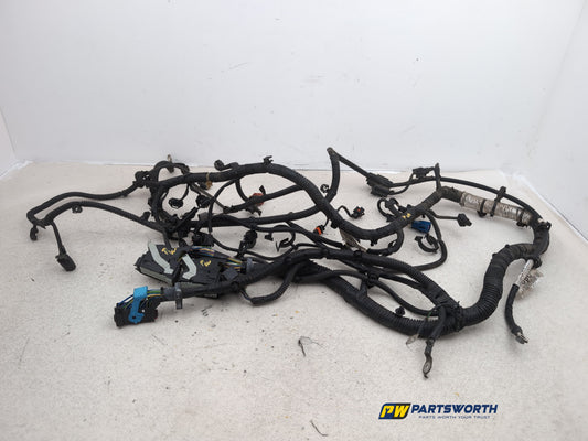 Engine Wiring Harness  1