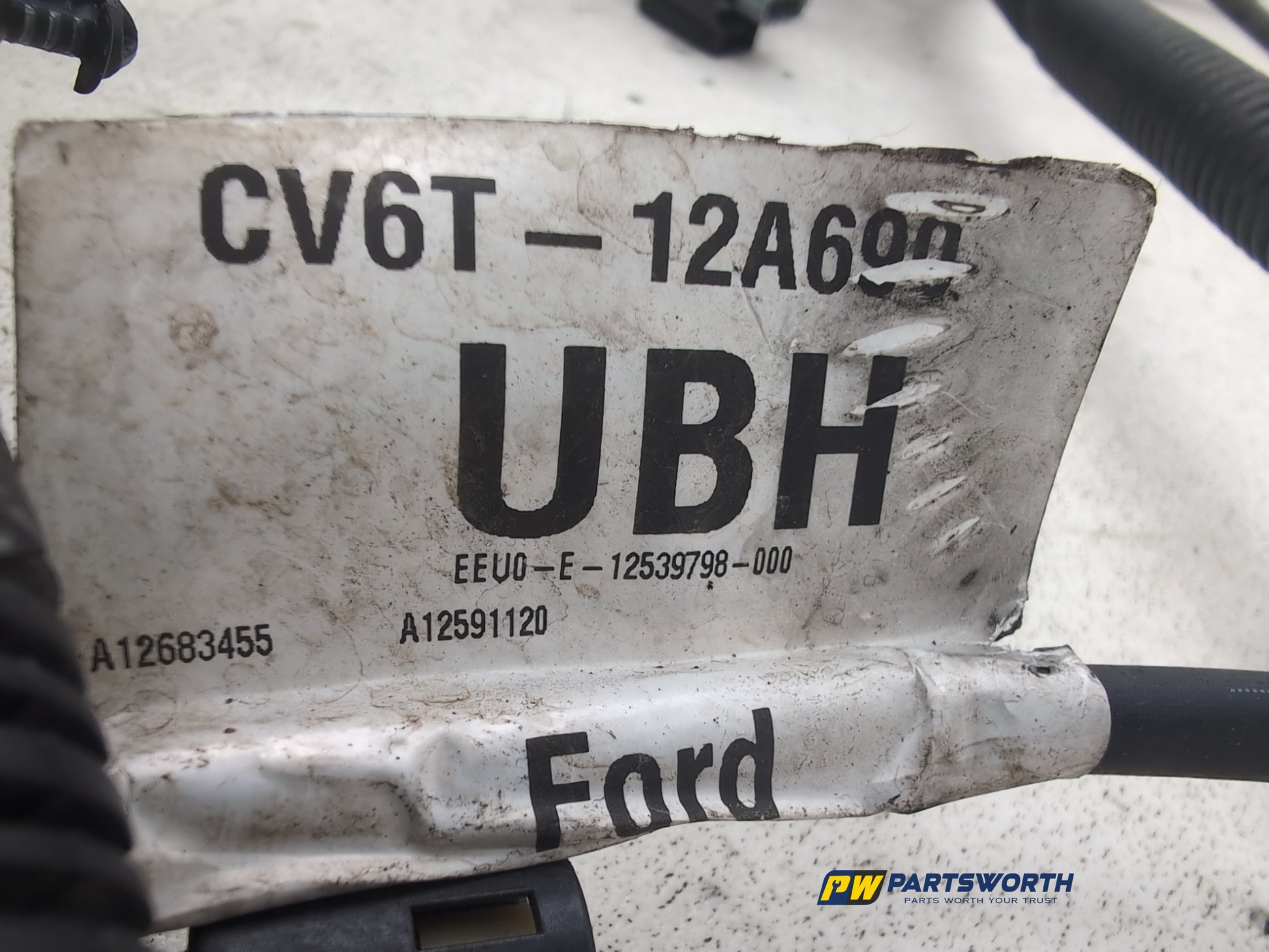 Engine Wiring Harness  6