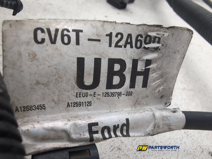 Engine Wiring Harness  6