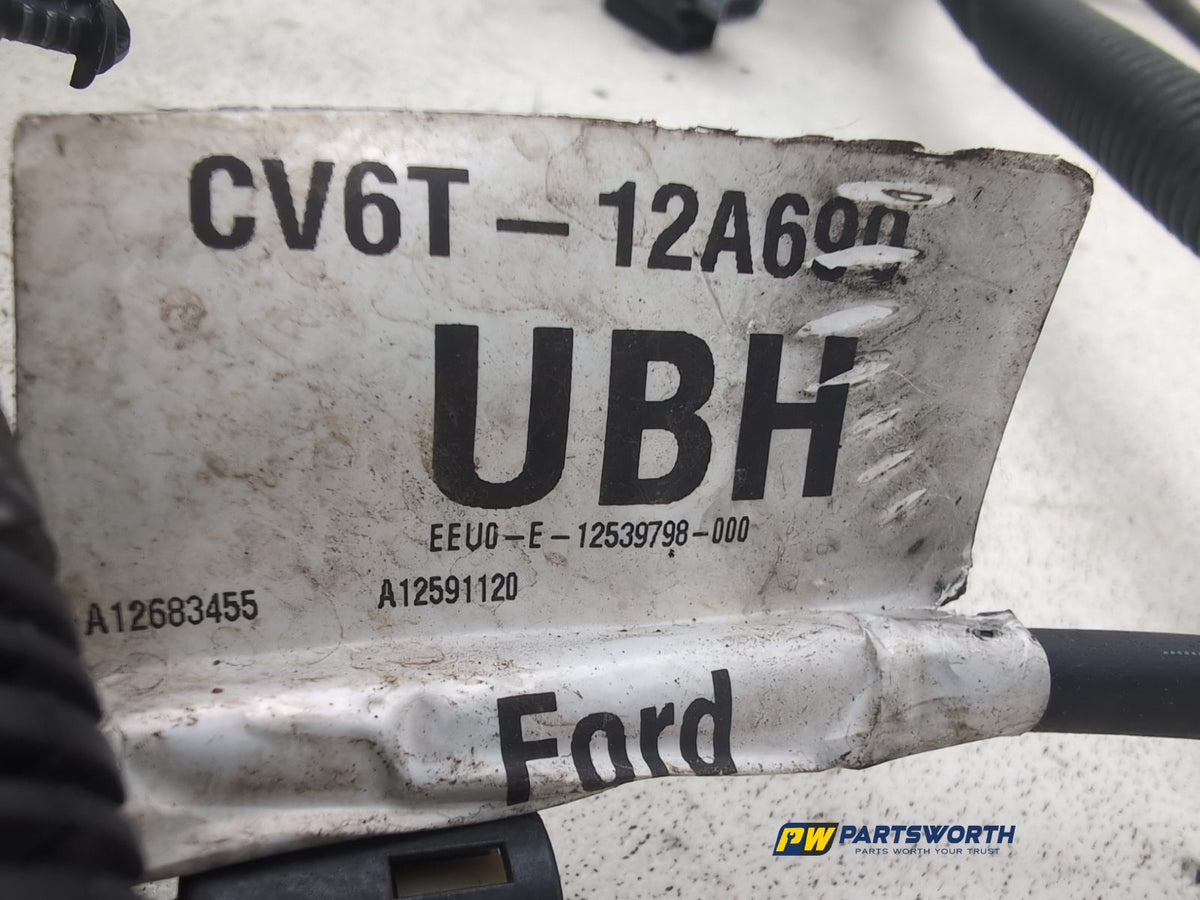 Engine Wiring Harness  6