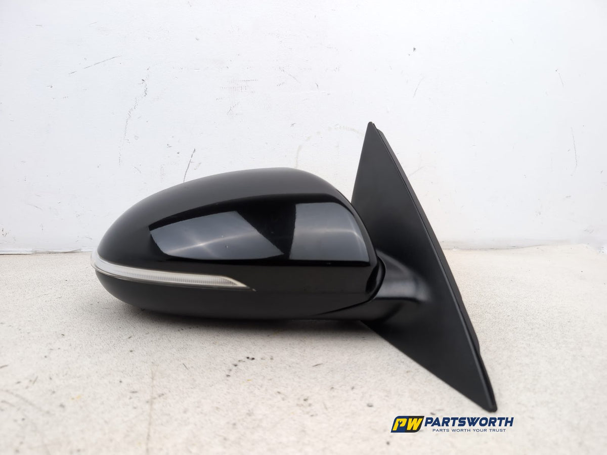 Door Mirror RH 1
