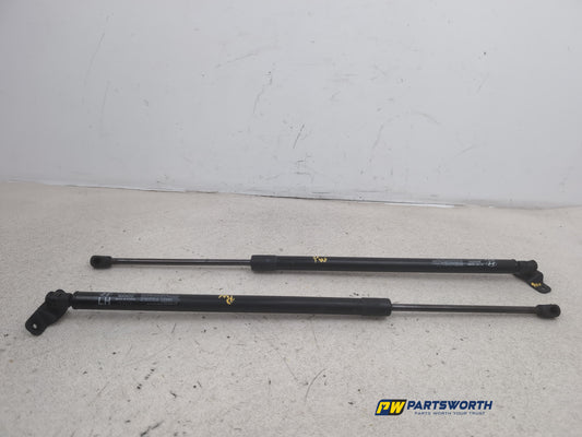 Tailgate Support Strut 1