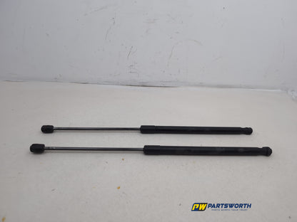 Tailgate Support Strut 1