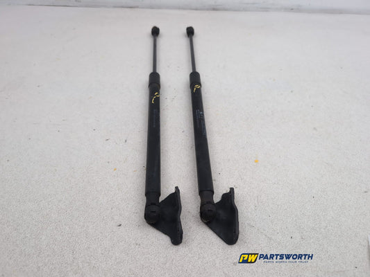 Tailgate Support Strut 1