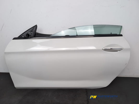 Door Front LH 1