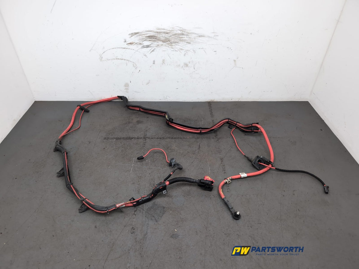 Wiring loom 1
