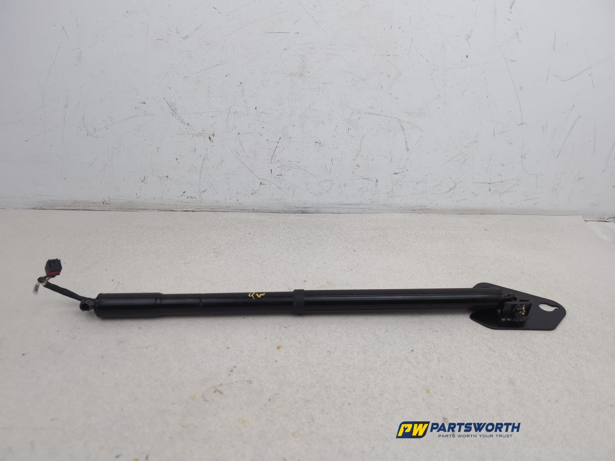 Tailgate Support Strut 1