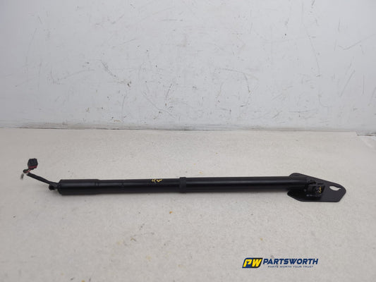 Tailgate Support Strut 1